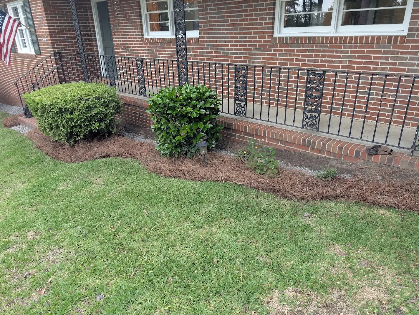 Freshly maintained landscape bed with trimmed shrubs and pine straw